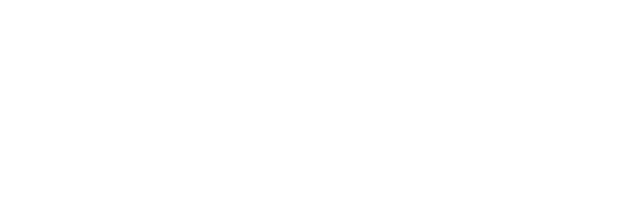 Network of families Inc